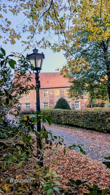 Parkweg mit Laterne und herbstlichen Bäumen, im Hintergrund ein Gebäude.