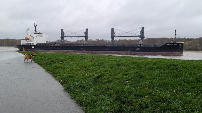 Ein großes Containerschiff fährt entlang eines überfluteten Uferweges mit Gräsern.