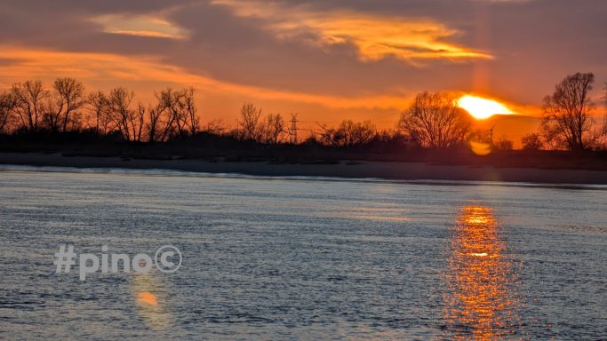 Sonnenuntergang über einem ruhigen Gewässer mit silhouettierten Bäumen im Hintergrund.