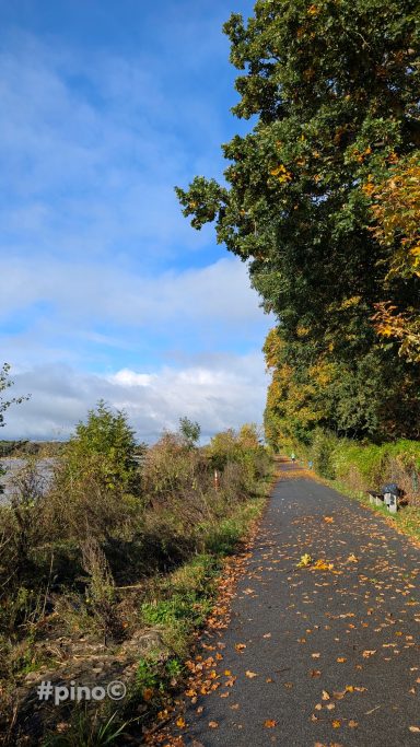 Herbstliche Uferpromenade mit bunten Blättern und blauem Himmel.