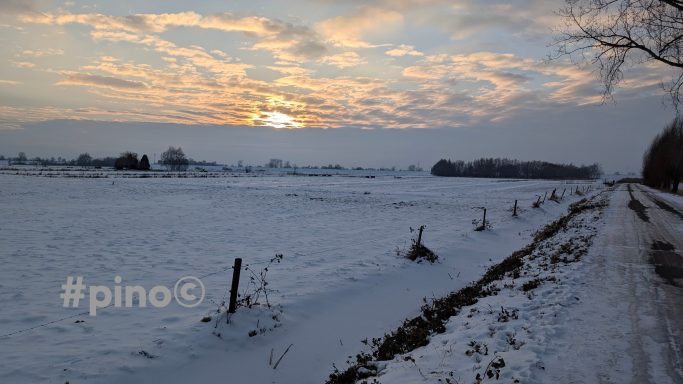 Winterlandschaft mit Schnee, flachem Feld, Bäumen im Hintergrund und Sonnenuntergang.