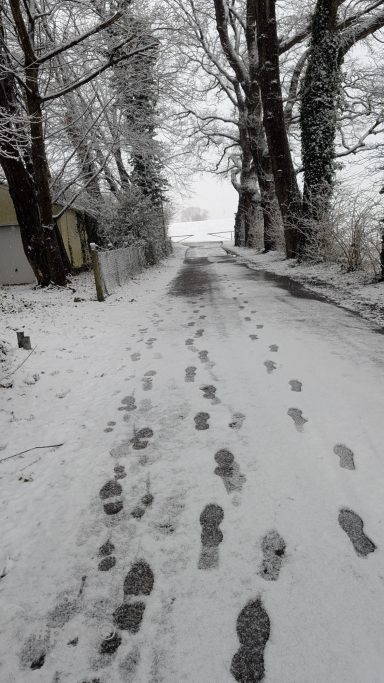 Schneebedeckte Straße mit Fußabdrücken und Bäumen entlang der Seite.