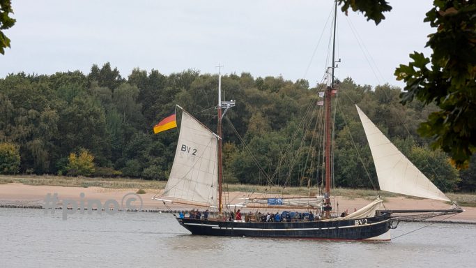 Traditionsschiff mit Segeln und deutscher Flagge auf ruhigem Wasser, umgeben von Bäumen.