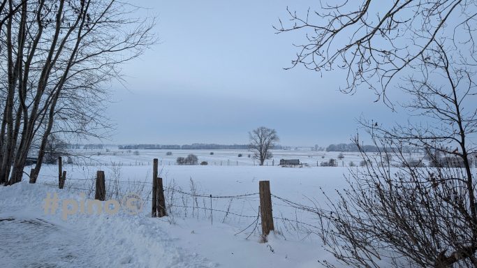 Winterlandschaft mit Schnee, Bäumen und einem offenen Feld unter grauem Himmel.