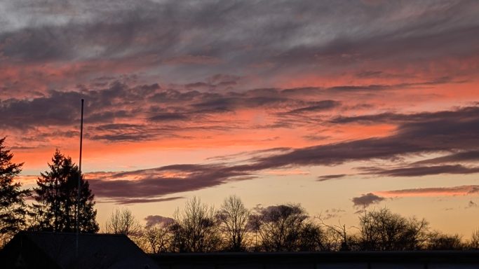 Sonnenuntergang mit pinken und lila Wolken hinter silhouettierten Bäumen.