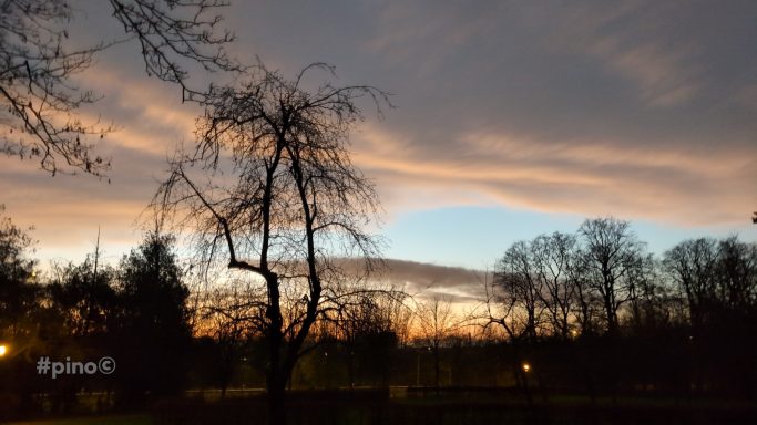 Sonnenuntergang mit bunten Wolken, silhouettierte Bäume im Vordergrund.