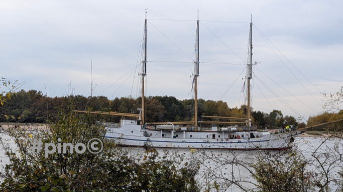 Historisches Segelschiff mit drei Masten auf ruhigem Gewässer, umgeben von Bäumen.