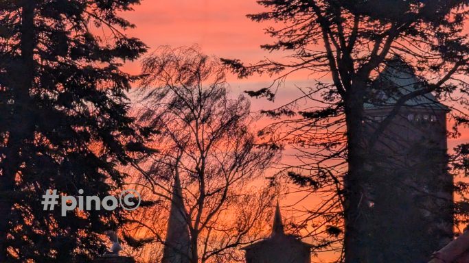 Sonnenuntergang mit silhouettierten Bäumen und Stadtgebäuden im Hintergrund.