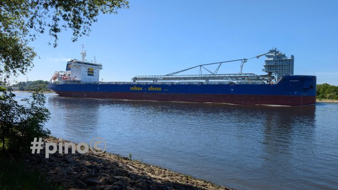 Großes Frachtschiff auf einem ruhigen Fluss unter klarem Himmel.