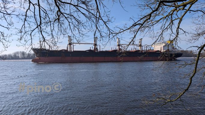 Schiff fährt auf einem ruhigen Fluss, umgeben von Bäumen und klarem Himmel.