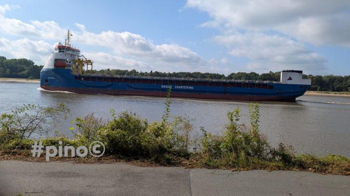 Ein Frachtschiff fährt auf einem ruhigen Fluss, umgeben von Bäumen und bewölktem Himmel.