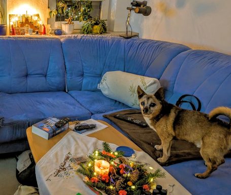 Helle Wohnzimmercouch mit einem Hund und Weihnachtsdekoration auf dem Tisch.