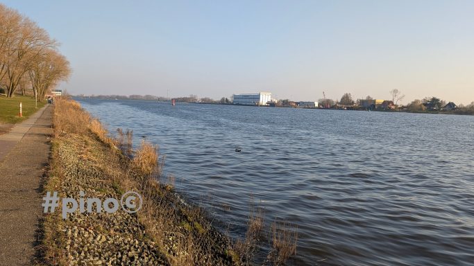 Uferpromenade mit Wasser und Bäumen unter einem klaren Himmel.
