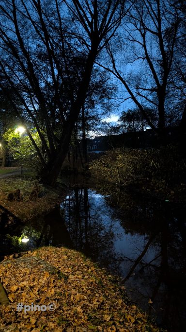 Dämmerung am Fluss mit Bäumen und Laub, reflektierendes Wasser im Vordergrund.