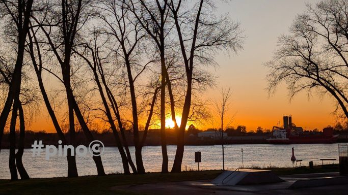 Sonnenuntergang hinter silhouettierten Bäumen am Ufer eines Gewässers.