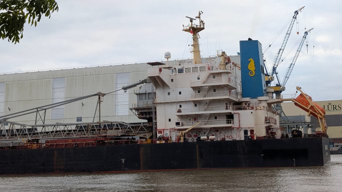 Großes Frachtschiff im Hafen mit Kränen im Hintergrund.