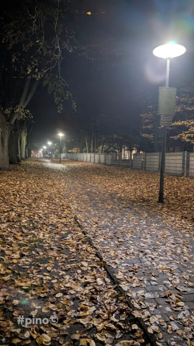 Ein schmaler Weg mit herbstlichen Blättern, beleuchtet von Straßenlaternen.