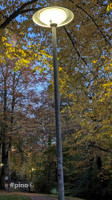 Laterne auf einem Gehweg, umgeben von buntem Laub im Herbst.