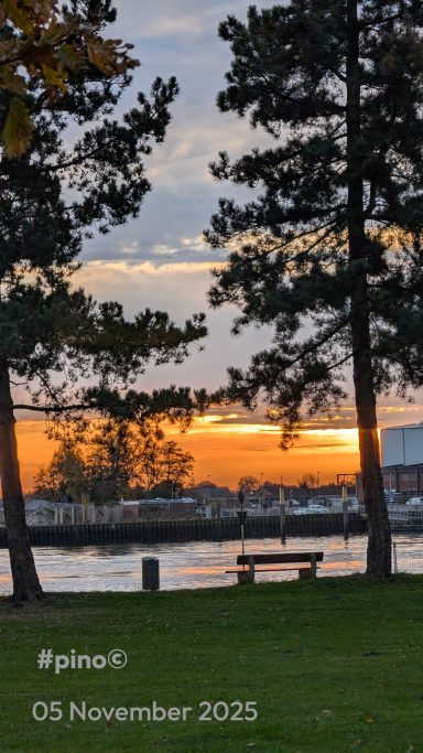 Sonnenuntergang am Wasser mit Bäumen und einer Bank im Vordergrund.