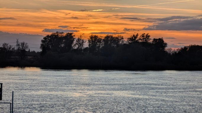Sonnenuntergang über einem ruhigen Gewässer mit silhouettierten Bäumen im Hintergrund.