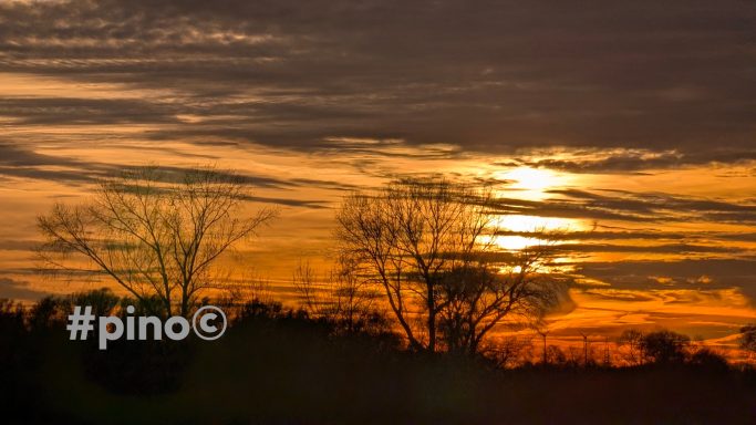 Sonnenuntergang mit orangefarbenem Himmel und Silhouetten von Bäume.