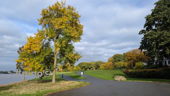 Herbstliche Landschaft mit Bäumen und einem ruhigen Weg am Wasser.
