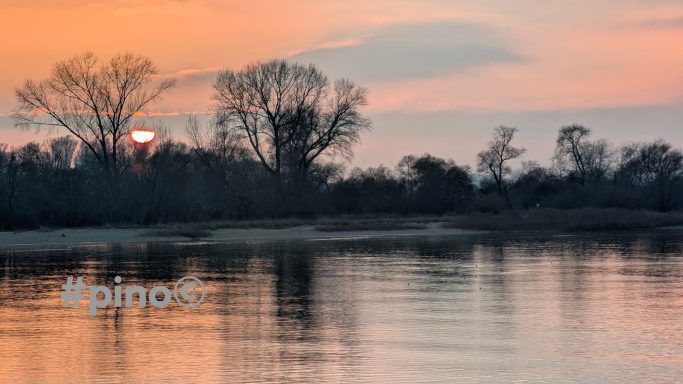 Sonnenuntergang über einem ruhigen Gewässer, umgeben von siluettenhaften Bäumen.