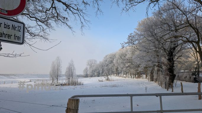 Winterlandschaft mit schneebedeckten Bäumen und sanftem Nebel im Hintergrund.