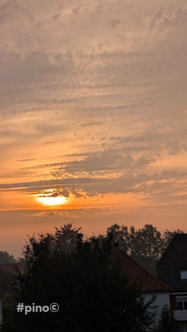 Sonnenuntergang mit orangefarbenem Himmel und Silhouetten von Bäumen und Gebäuden.