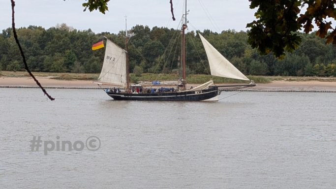 Traditionssegler mit Deutscher Flagge fährt auf einem Fluss, umgeben von Bäumen.